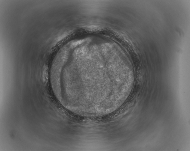 X0000112031301200908311207