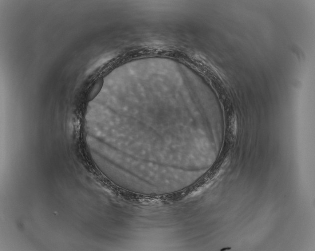 X0000112031302200908311207