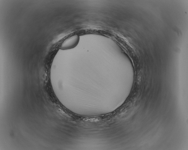 X0000112031303200908311207
