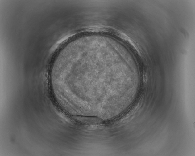 X0000112031304200908311207
