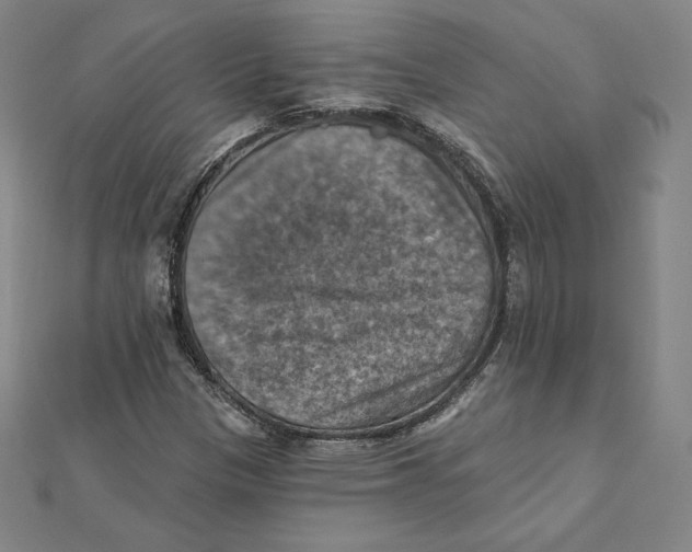 X0000112031305200908311207