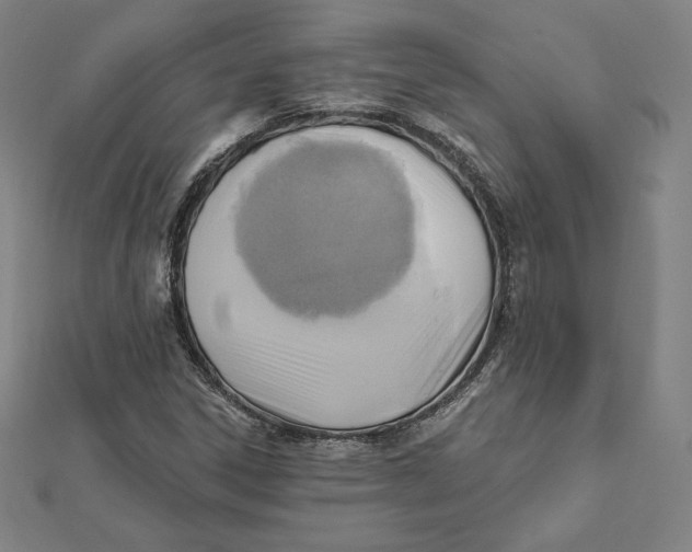X0000112031306200908311207