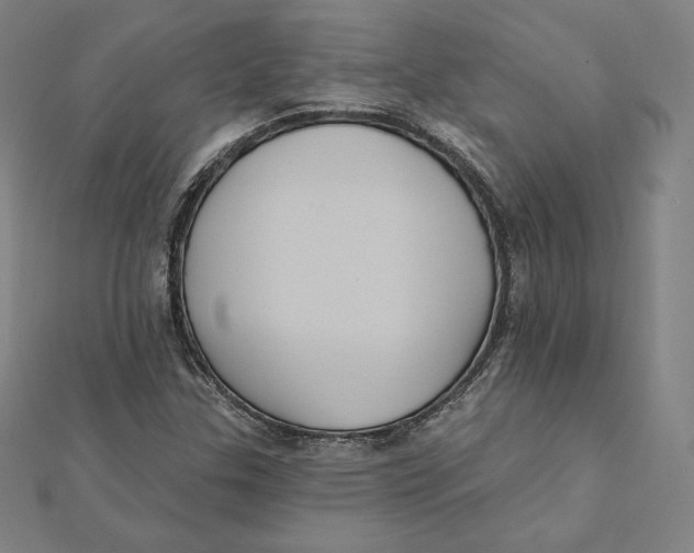 X0000112031307200908311207