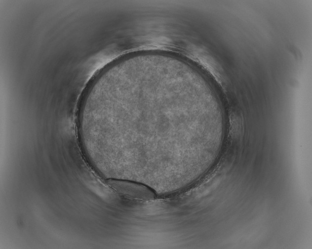 X0000112031308200908311207