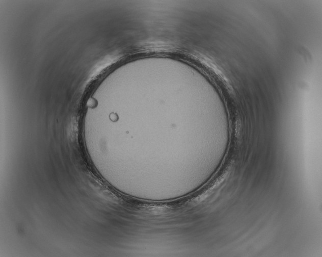 X0000112031309200908311207