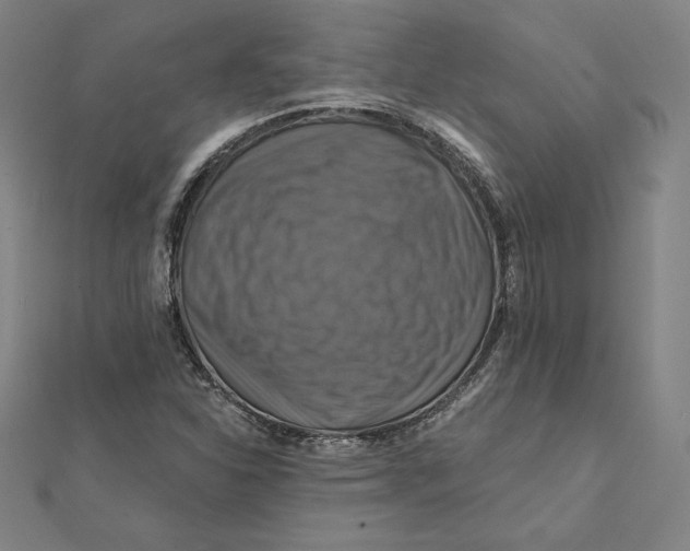 X0000112031310200908311207