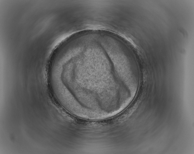 X0000112031311200908311207