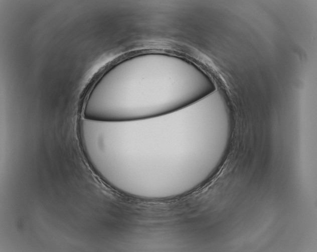 X0000112031312200908311207