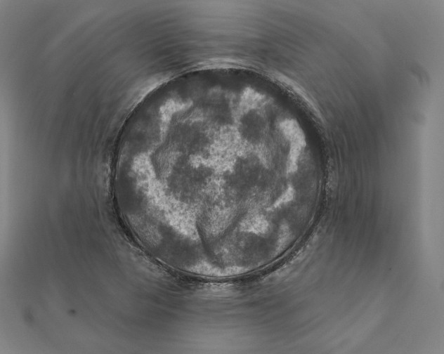 X0000112031313200908311207