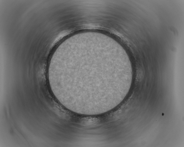 X0000112031314200908311207