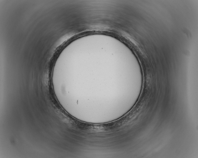 X0000112031315200908311207