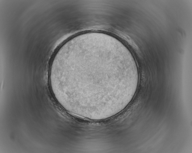 X0000112031316200908311207