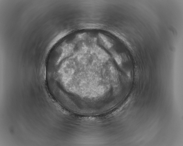 X0000112031317200908311207