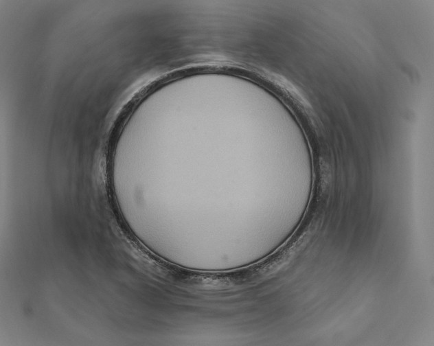 X0000112031318200908311207