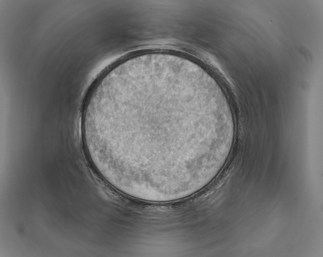 X0000112031320200908311207