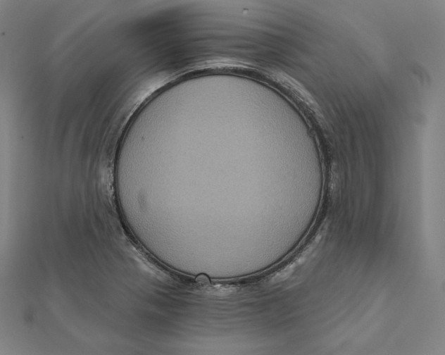 X0000112031321200908311207