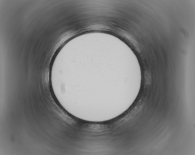 X0000112031322200908311207