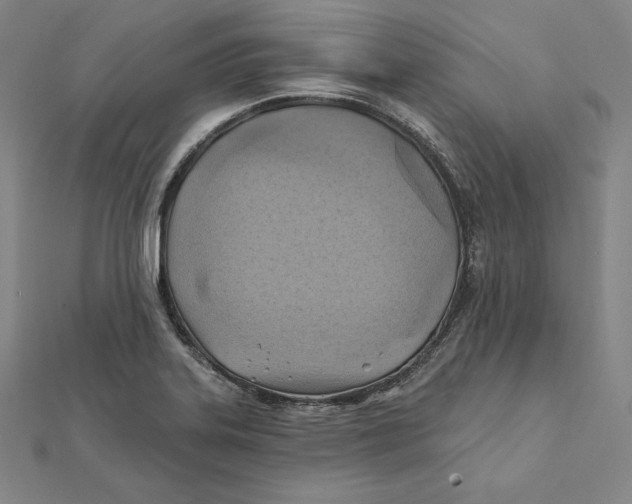 X0000112031323200908311207