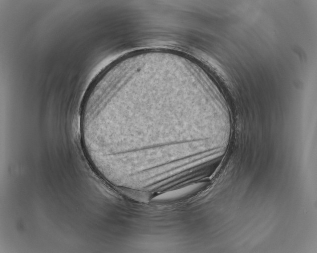X0000112031324200908311207
