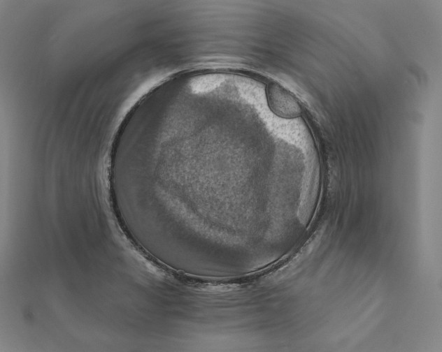 X0000112031325200908311207