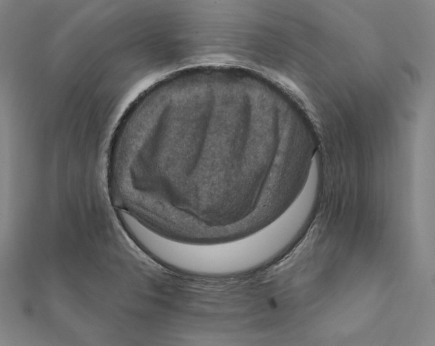 X0000112031326200908311207
