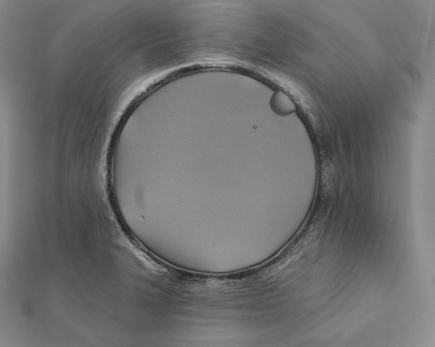 X0000112031327200908311207