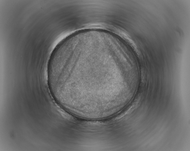 X0000112031328200908311207