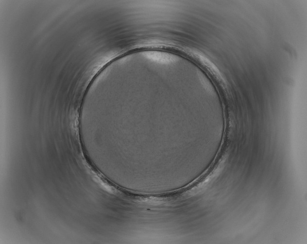 X0000112031329200908311207