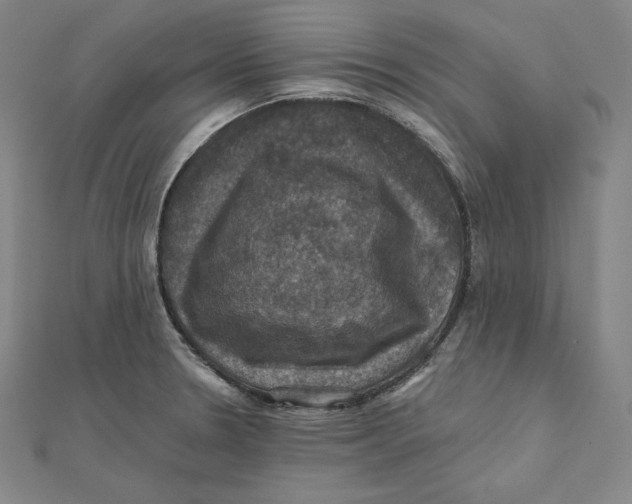X0000112031330200908311207