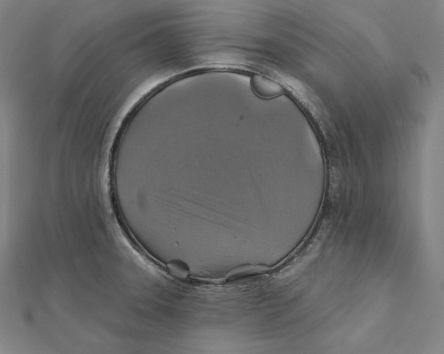 X0000112031331200908311207