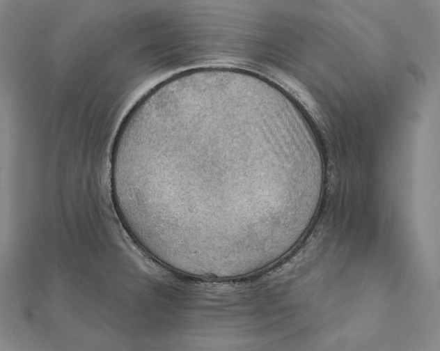 X0000112031332200908311207
