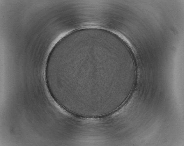 X0000112031333200908311207