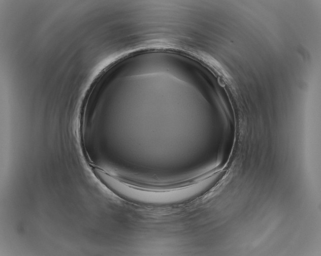 X0000112031334200908311207