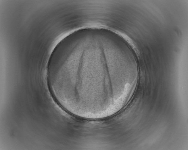 X0000112031335200908311207