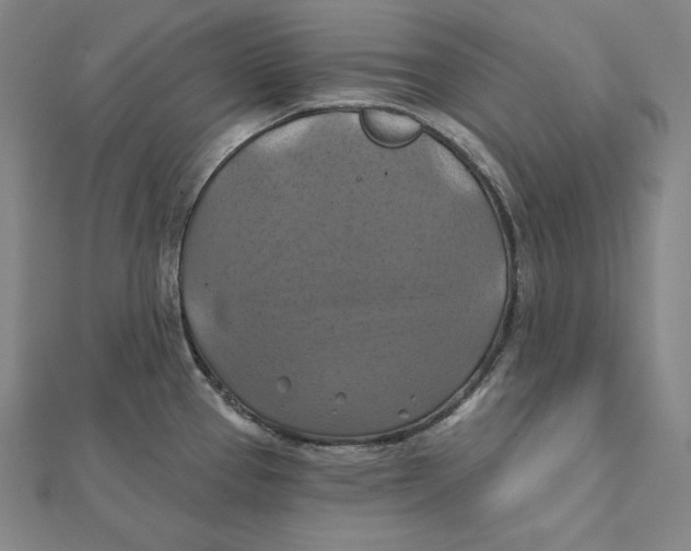 X0000112031337200908311207