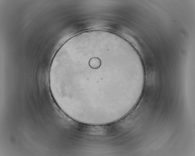 X0000112031338200908311207