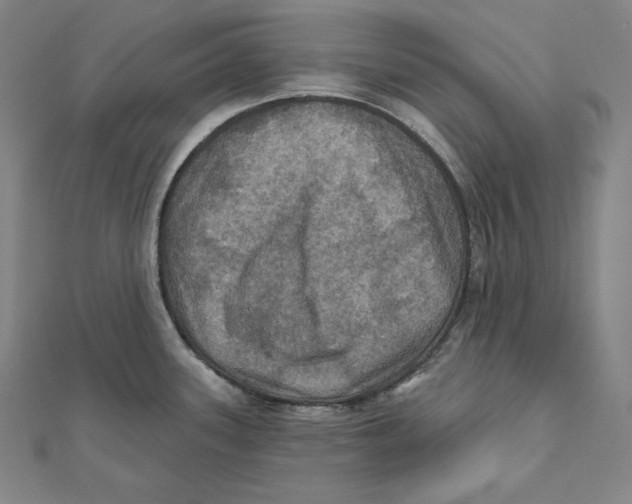 X0000112031339200908311207