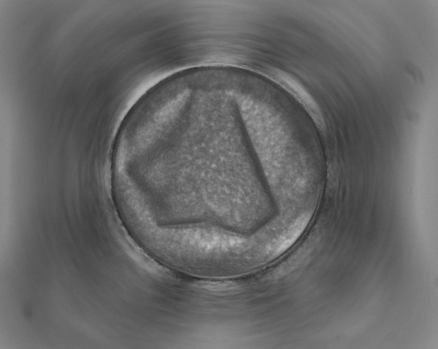 X0000112031340200908311207