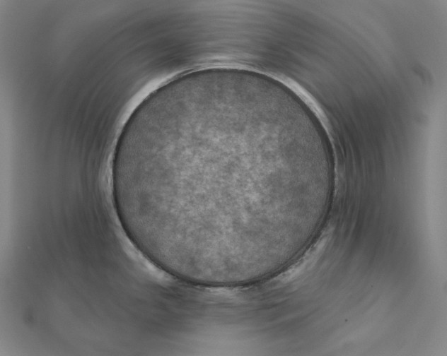 X0000112031341200908311207
