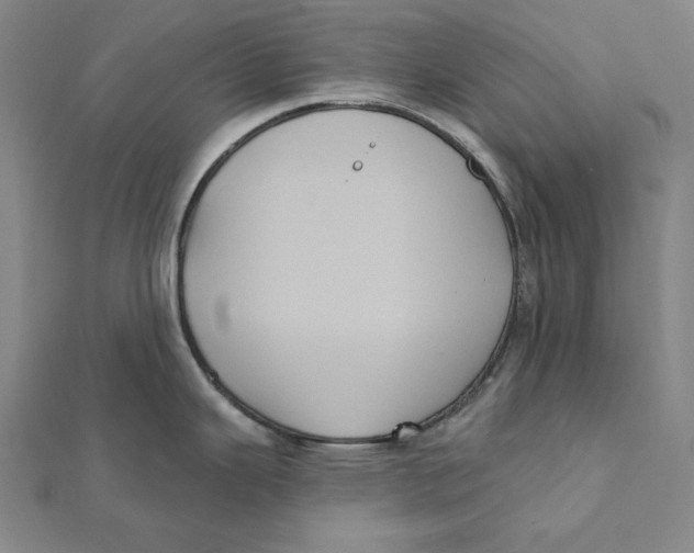 X0000112031343200908311207