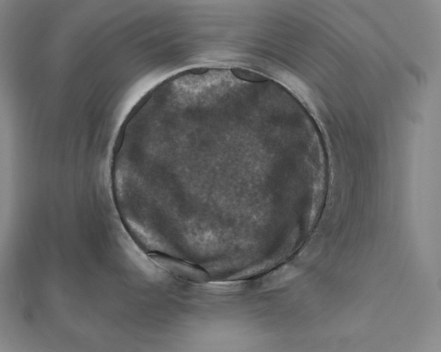 X0000112031344200908311207