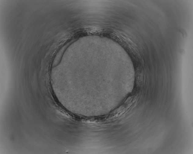 X0000112031345200908311207