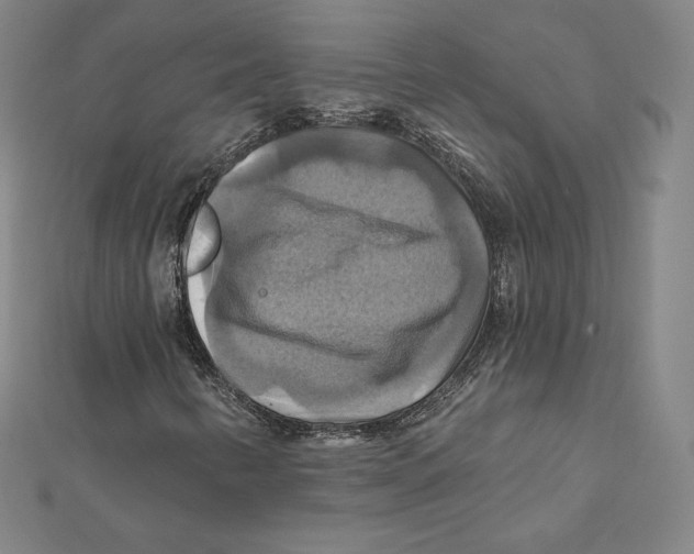 X0000112031346200908311207