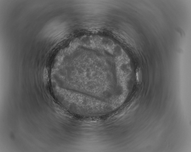 X0000112031347200908311207