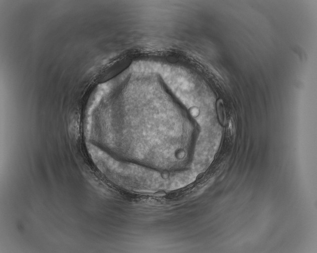 X0000112031348200908311207