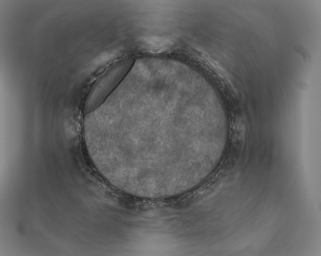 X0000112031349200908311207