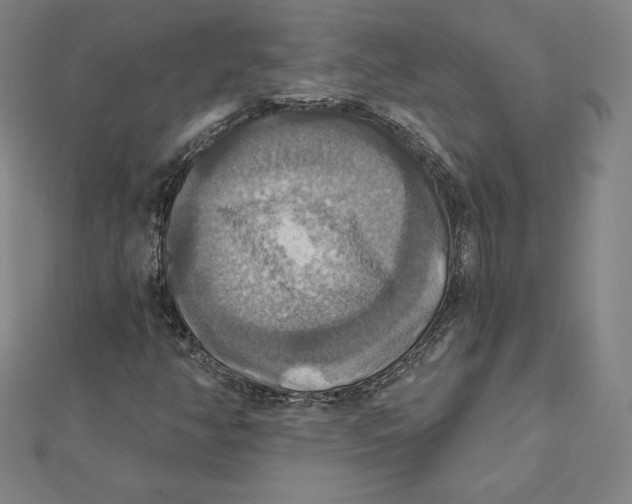 X0000112031350200908311207