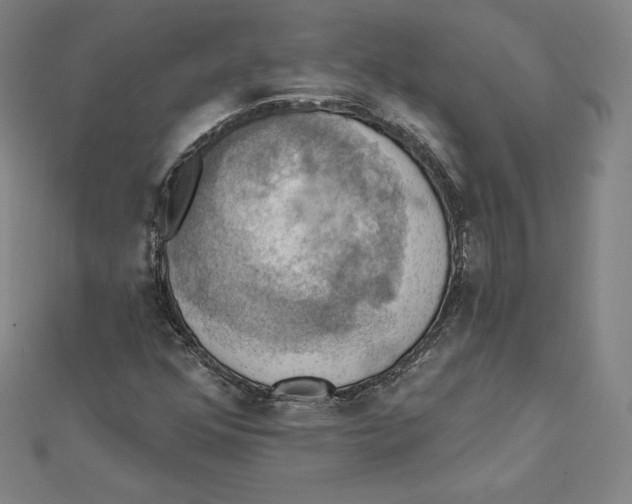 X0000112031352200908311207