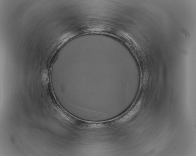X0000112031353200908311207