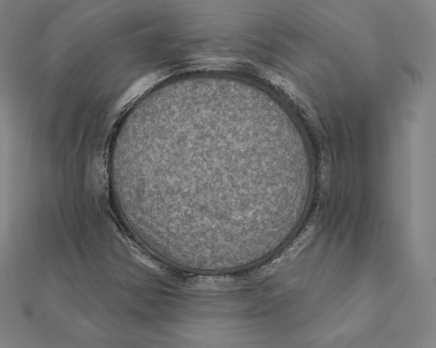X0000112031354200908311207